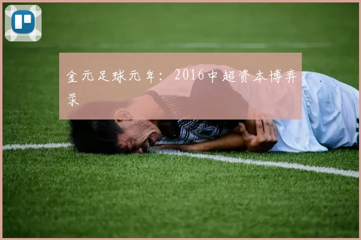 金元足球元年:2016中超资本博弈录