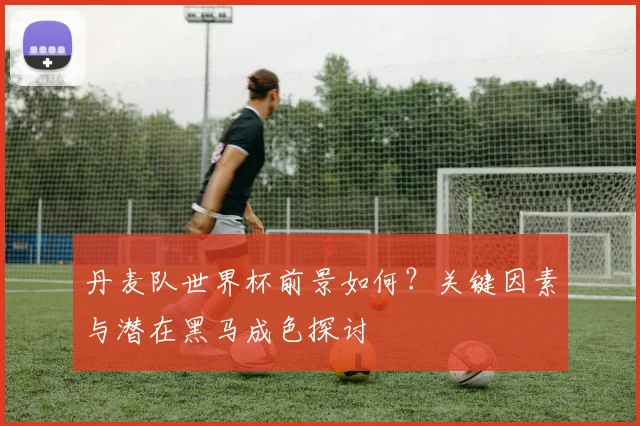 丹麦队世界杯前景如何？关键因素与潜在黑马成色探讨
