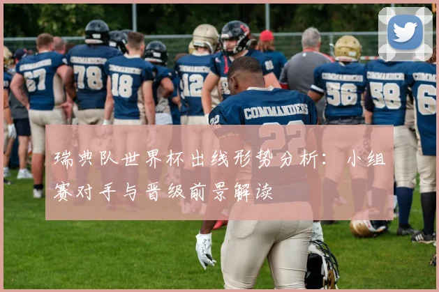 瑞典队世界杯出线形势分析：小组赛对手与晋级前景解读