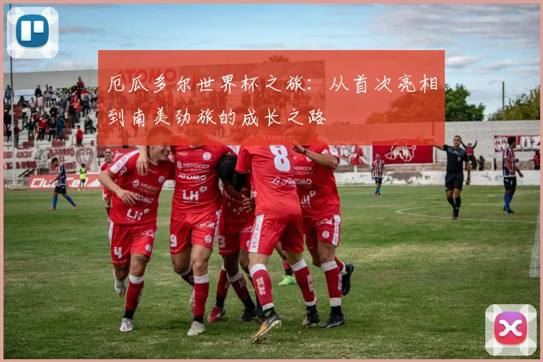 厄瓜多尔世界杯之旅：从首次亮相到南美劲旅的成长之路